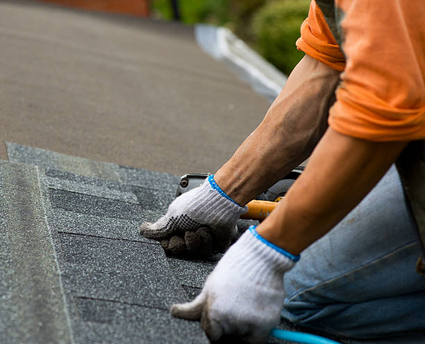 Roof Gutter Cleaning in Rayne, LA
